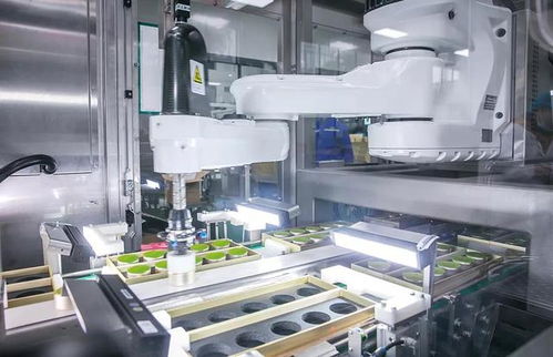 小罐茶創始人杜國楹引領茶業革新 15億投資智能工廠，AI挑茶工重塑傳統茶產業